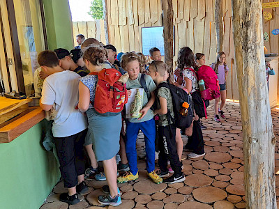 Tagestickets für Gruppen und Kindergruppen online verfügbar