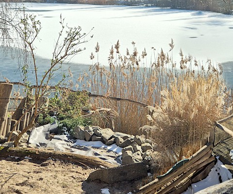 Der Marktplatz von ArkaZien